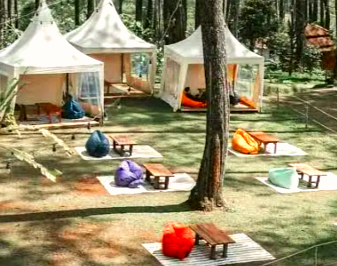 【岚风小筑】单人入营门票（精选）